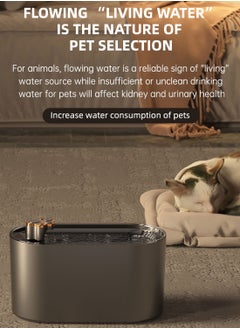 3L Automatic Pet Drinking Fountain with Multi-Filtration - Large Capacity Quiet Operation & Clear Water Window - pzsku/Z7A42DE000AB63BC5BA67Z/45/_/1711093317/87c453cf-4300-4af9-9391-a625809c985b