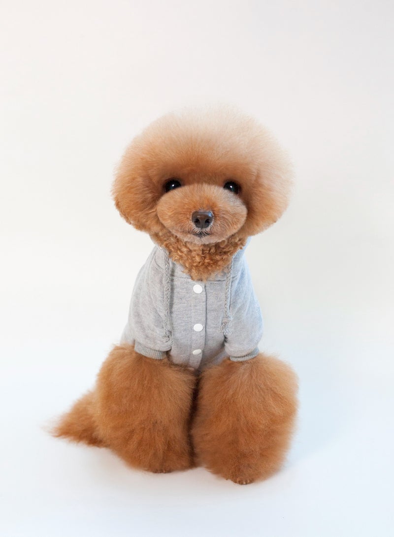 Loquat Pet dog hoodie with a hat Grey - Image 1