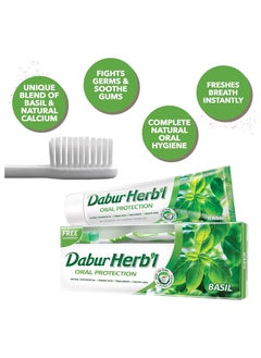Dabur Dabur Herbal Basil Toothpaste with Free Toothbrush 150g  - Image 2
