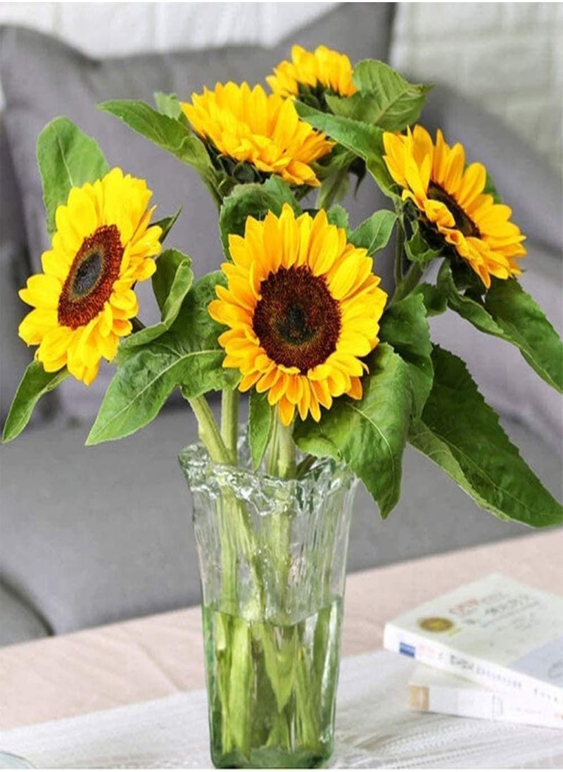 GGOOT 100pcs Sunflower Seeds Yellow Flowers Rich Fragrance Decorate The Bedroom and Put it at The Head of The Bed to Help Sleep  - Image 2