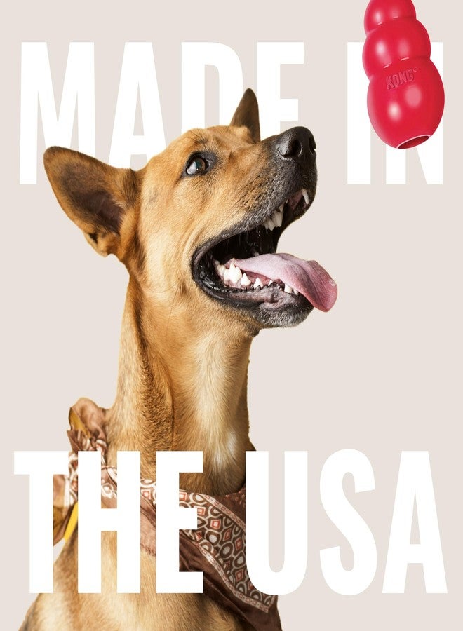 كونج دجاج مجفف من كونغ، متوسط/كبير، 5 أونصة، عبوة من قطعتين - Image 5