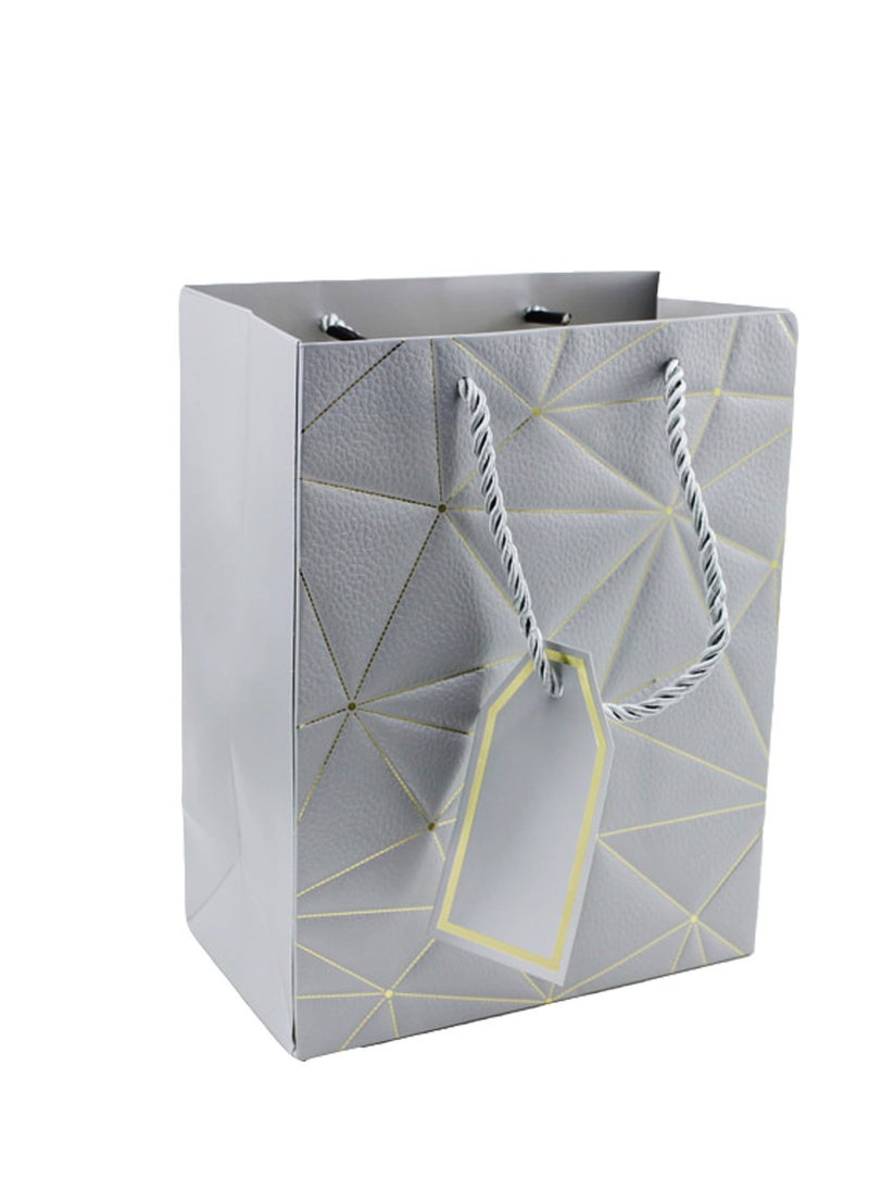 PARTY FUN Twisted Handle Kraft Paper Bags | Gift Bag Party Favor for Hen Parties, Weddings, and Special Occasions - silver  - Image 1