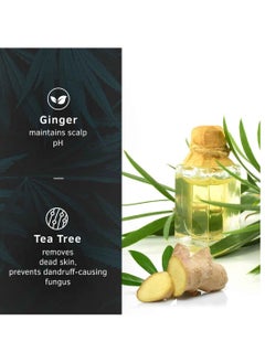 Ustraa Ustraa Anti Dandruff Hair Serum 200ml  - Image 3