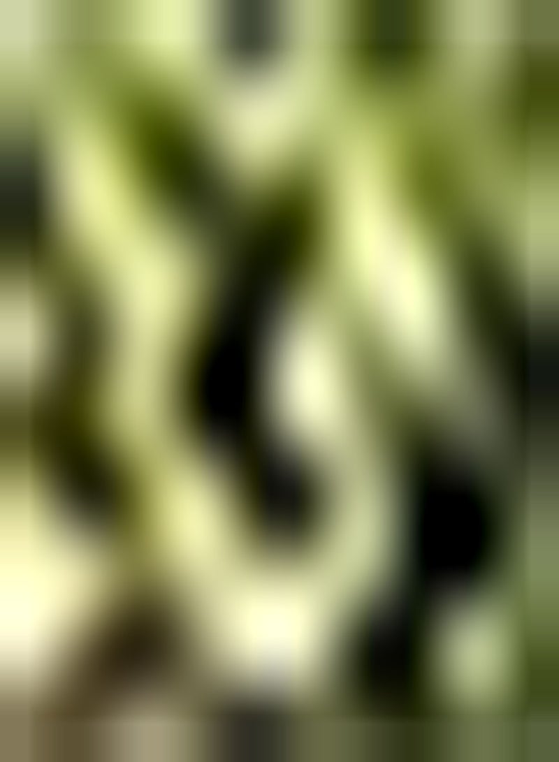 GGOOT seeds 100 Gourmet Mixed Lettuce Seeds 6 Varieties Loose Leaf Salad Collection Mix UK - Image 2