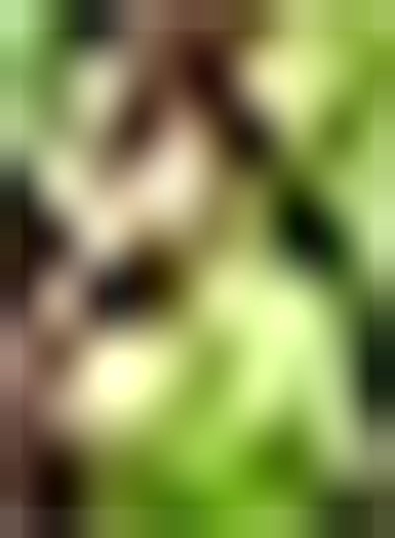 GGOOT seeds 100 Gourmet Mixed Lettuce Seeds 6 Varieties Loose Leaf Salad Collection Mix UK - Image 3