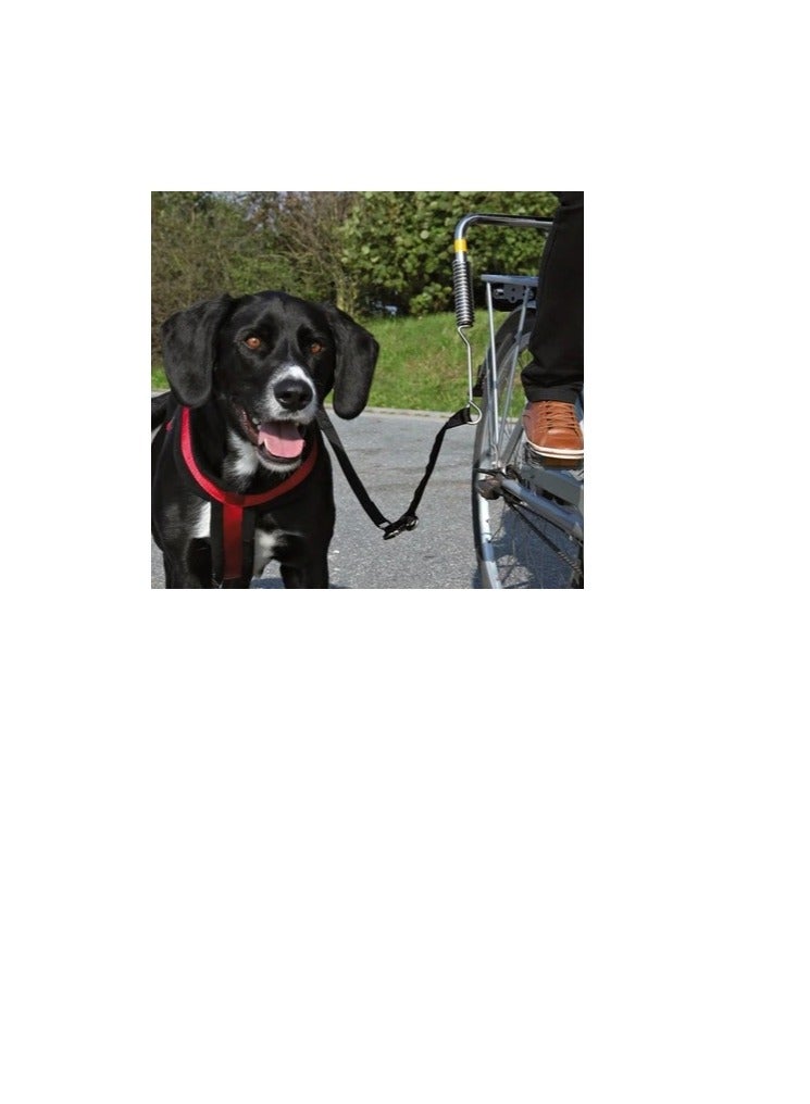 Trixie Biker Set For Large Dogs - Image 1