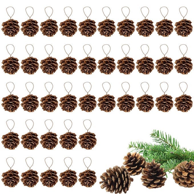 40 PCS NATURAL MINI CHRISTMAS PINE CONES TINY PINECONES FOR CRAFTS BULK PINE CONES ORNAMENTS WITH STRINGS FOR CHRISTMAS DIY GIFT TAG WREATH GARLANDS FALL TREE WEDDING DECOR