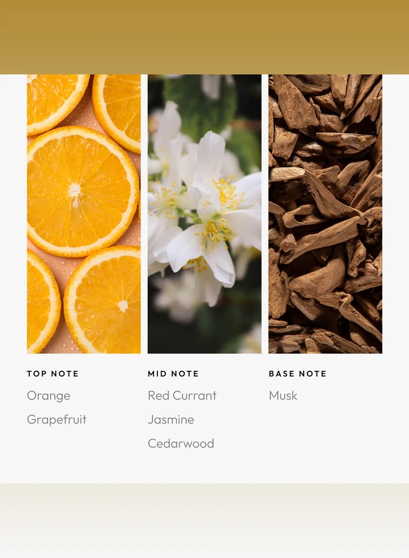 AROMA360 November Rain Pro-Pod Oil Blend - Hotel Inspired for Luxury Essential Oil Diffusers - Aromatherapy Scent Diffuser Oil - Grapefruit, Orange, and Jasmine