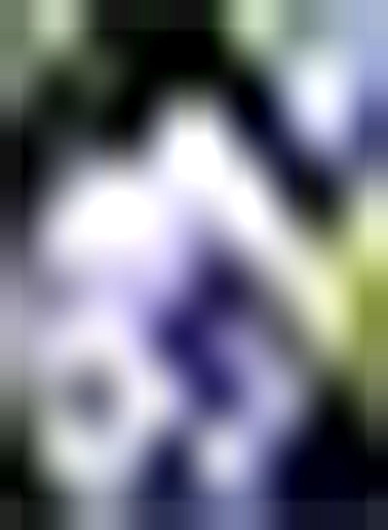 GGOOT 20Stück lila Hortensiensamen Blumenbonsaisamen DIY Blumenpflanzendekoration gepflanzt das ganze Jahr über mit riesigen Blumen natürlich gewachsene Gartenterrassenpflanze - Image 2