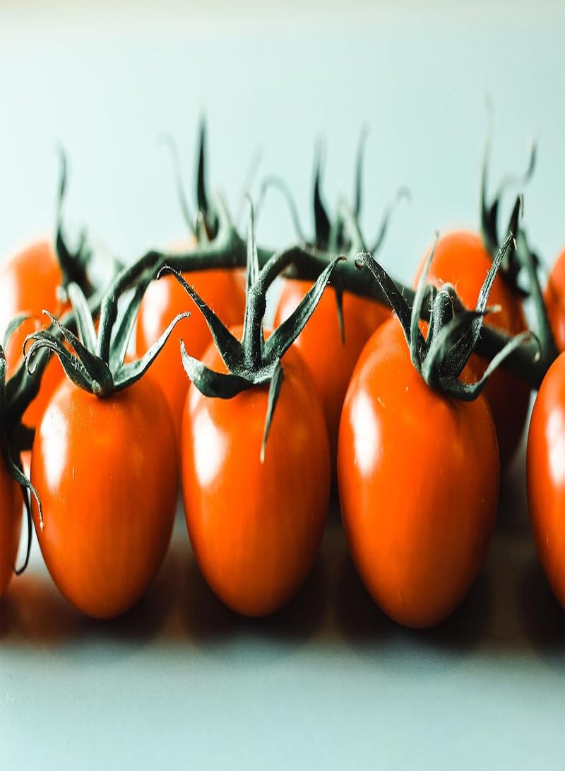 GGOOT - Tomato Golden Cherry - 5 Vegetable/Fruit Seeds - Image 1