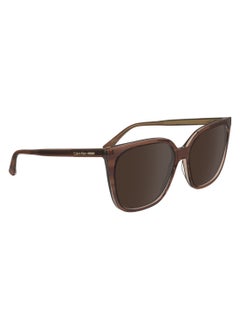 CALVIN KLEIN FULL RIM ACETATE MODIFIED RECTANGLE CALVIN KLEIN SUN CK24509S  5616 (203) STRIPED BROWN/ROSE  - Image 3