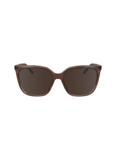CALVIN KLEIN FULL RIM ACETATE MODIFIED RECTANGLE CALVIN KLEIN SUN CK24509S  5616 (203) STRIPED BROWN/ROSE  - Image 1