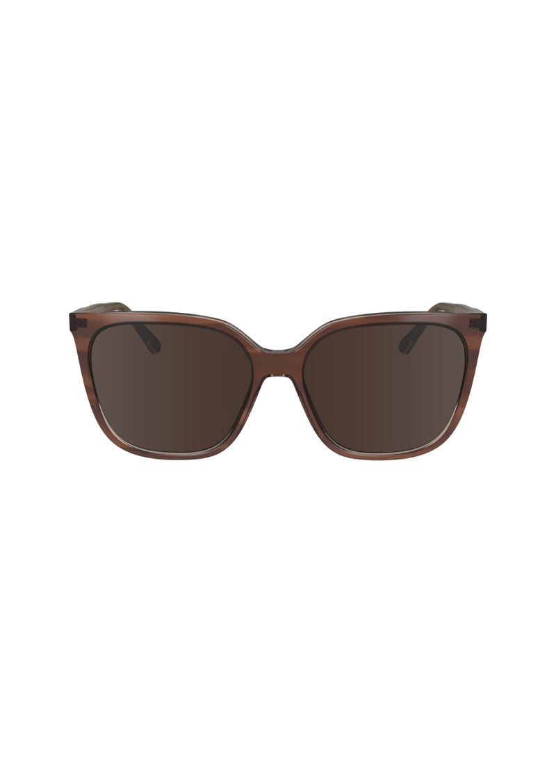 CALVIN KLEIN FULL RIM ACETATE MODIFIED RECTANGLE CALVIN KLEIN SUN CK24509S  5616 (203) STRIPED BROWN/ROSE  - Image 1