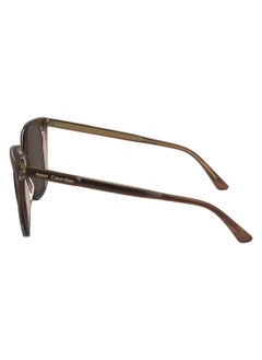 CALVIN KLEIN FULL RIM ACETATE MODIFIED RECTANGLE CALVIN KLEIN SUN CK24509S  5616 (203) STRIPED BROWN/ROSE  - Image 4