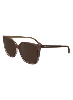 CALVIN KLEIN FULL RIM ACETATE MODIFIED RECTANGLE CALVIN KLEIN SUN CK24509S  5616 (203) STRIPED BROWN/ROSE  - Image 2