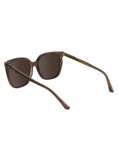 CALVIN KLEIN FULL RIM ACETATE MODIFIED RECTANGLE CALVIN KLEIN SUN CK24509S  5616 (203) STRIPED BROWN/ROSE  - Image 5