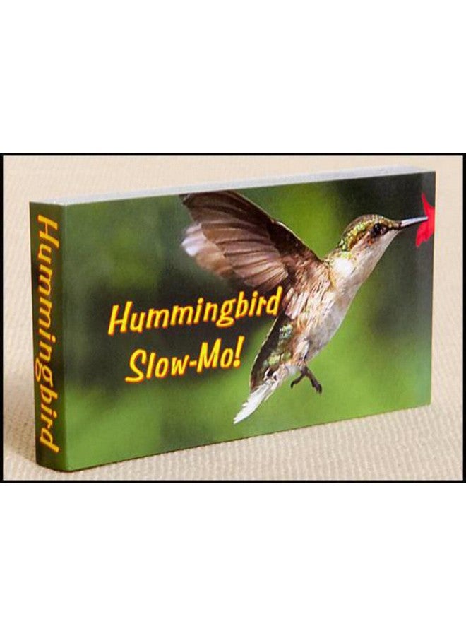 Fliptomania Hummingbird Flipbook - Image 1