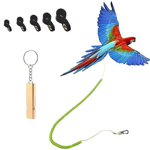 kcrygogo Parrot Bird Harness Leash Antibite Outdoor Flying Training Rope with 5pcs Different Sizes of Soft Foot Loops and Training WhistleUpgraded Version of Ankle Ring - Image 1