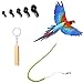 kcrygogo Parrot Bird Harness Leash Antibite Outdoor Flying Training Rope with 5pcs Different Sizes of Soft Foot Loops and Training WhistleUpgraded Version of Ankle Ring - Image 3