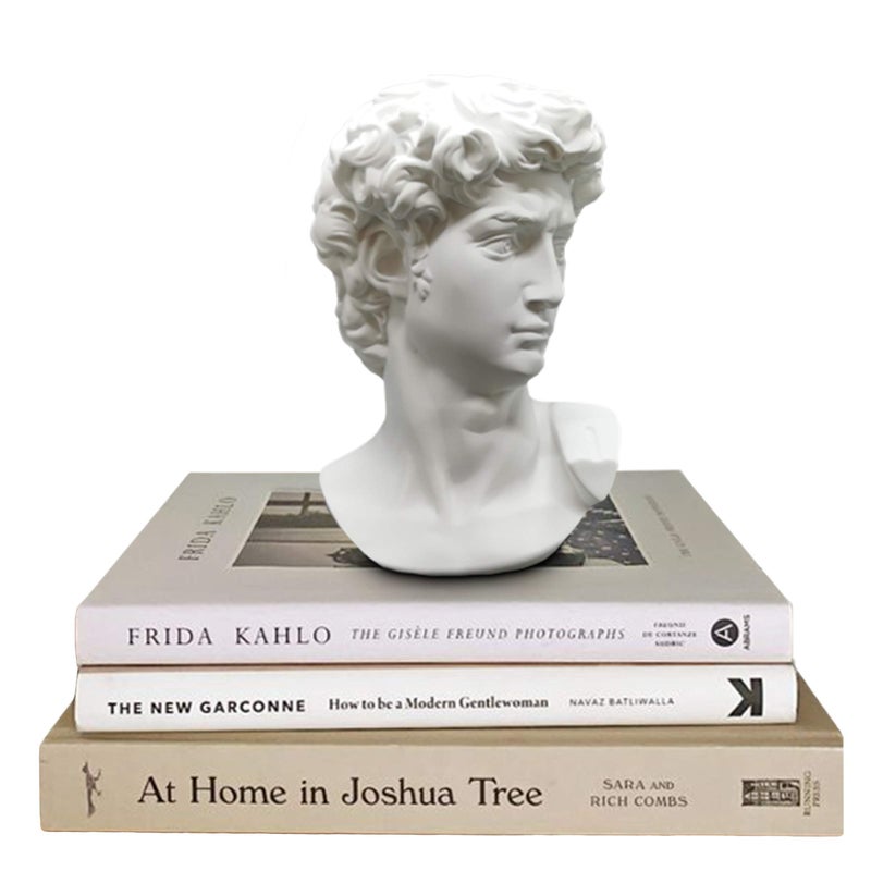 Greek Statue of David  Head Bust for Mythology and Roman Home Decor