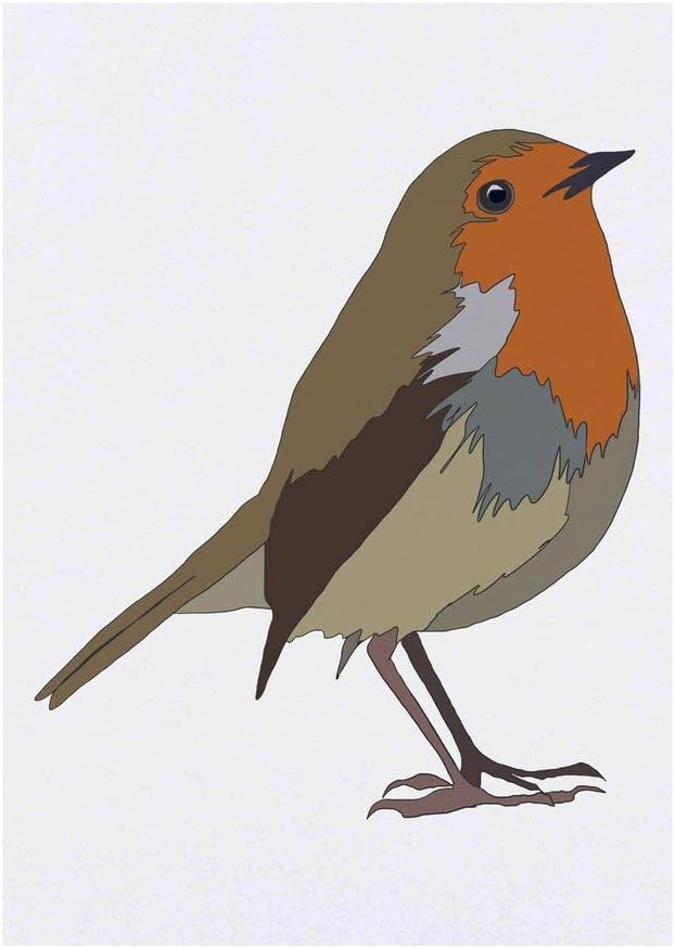 Robin Temporary Tattoo Water Resistant SkinSafe NonToxic Transfer TO00037880