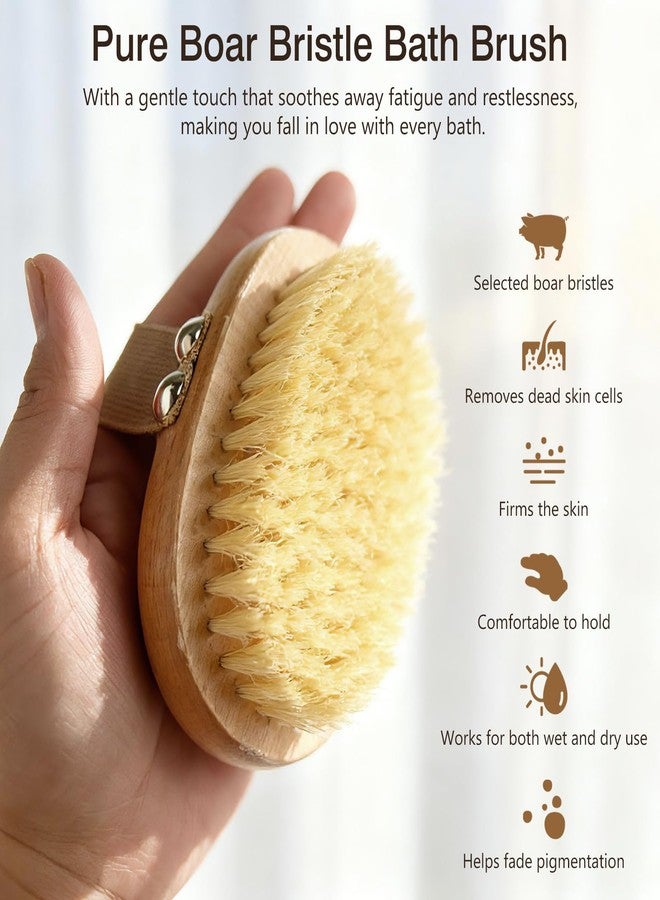 Brvlsoc Dry Body Brush - Natural Boar Bristle Exfoliator for Lymphatic Drainage, Circulation & Soft Skin, Palm Grip with Elastic Strap - Image 2