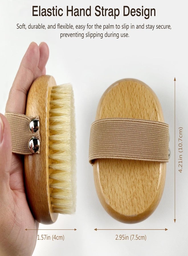 Brvlsoc Dry Body Brush - Natural Boar Bristle Exfoliator for Lymphatic Drainage, Circulation & Soft Skin, Palm Grip with Elastic Strap - Image 4
