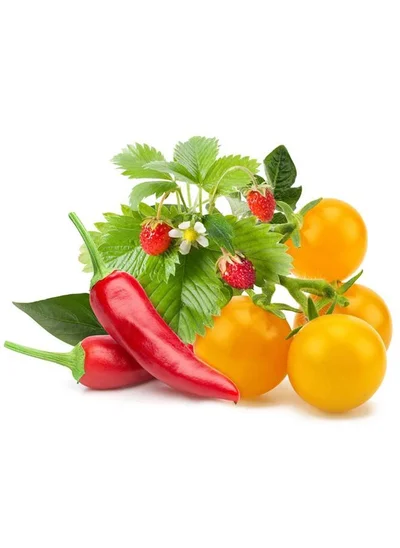 Click & Grow Click & Grow Fruit and Veggie Mix Smart Garden refill (Pack 0f 9)