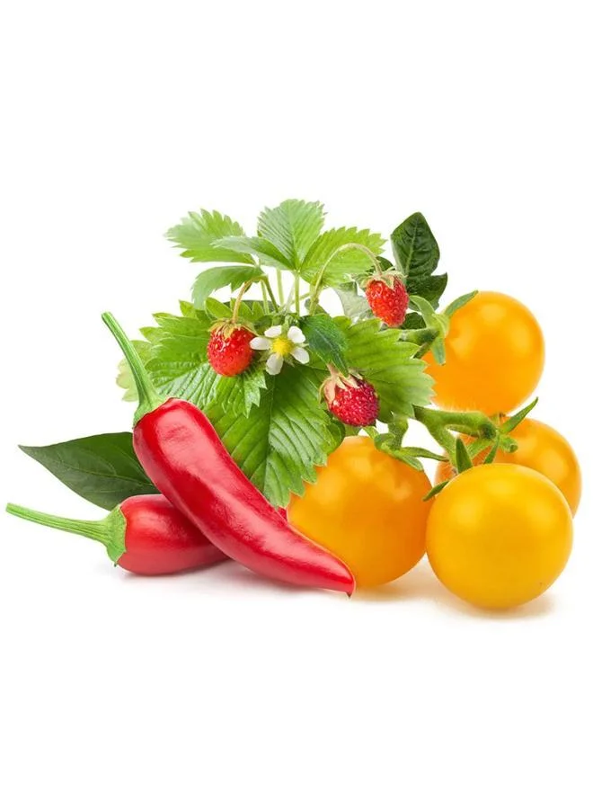Click & Grow Click & Grow Fruit and Veggie Mix Smart Garden refill (Pack 0f 9)