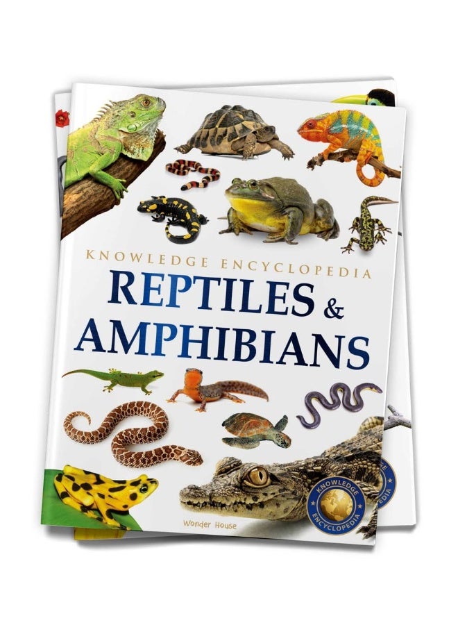الحيوانات - مجموعة من 6 كتب: موسوعة المعرفة للأطفال (مجموعة صندوقية) - Image 4