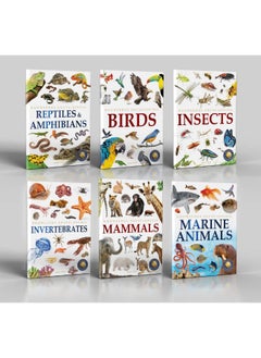 Animals - Collection of 6 Books : Knowledge Encyclopedia For Children (Box Set)  - Image 2
