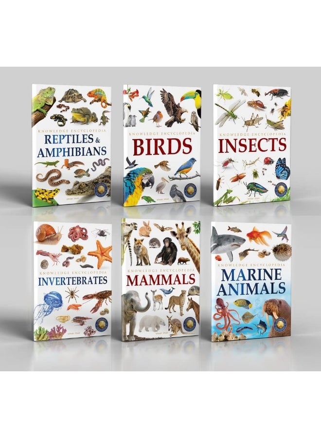 الحيوانات - مجموعة من 6 كتب: موسوعة المعرفة للأطفال (مجموعة صندوقية) - Image 2
