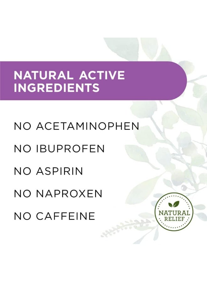 Hyland's Naturals Migraine Headache Natural Pain Relief Tablets - Image 5