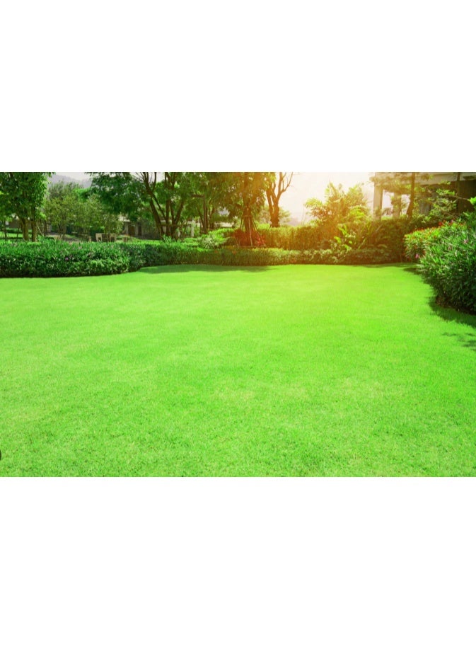 ديزيرت إنرجي توهج حديقة طاقة الصحراء - Image 1