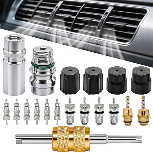 TWTADE 19PCS Air Conditioning Valve Core Kit Car AC R12 R134a Teflon Seal Refrigeration Schrader Valve Stem Cores with Remover Tool Service Valve HVAC System Charging Port Seal Caps Kit - Image 1