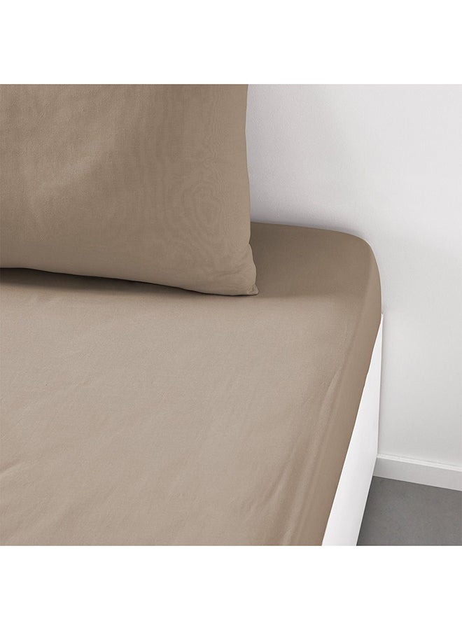 DANUBE HOME Danube Home Pristine Fit Double Fitted Sheet Beige 120x200cm | 100% Cotton-144 Thread Count Bedding Cover For Bedroom 