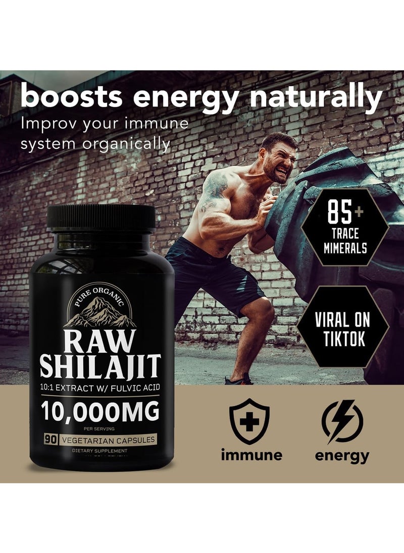 RAW Shilajit Dietary Supplement 10000mg - 90 Capsules - pzsku/Z7A5A843DF505DB754E9CZ/45/_/1713368188/25ae4293-1ccb-4969-b697-515e9e790029