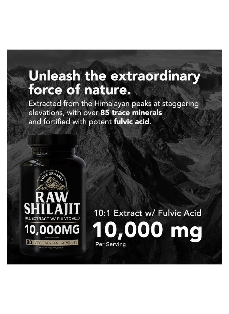 RAW Shilajit Dietary Supplement 10000mg - 90 Capsules - pzsku/Z7A5A843DF505DB754E9CZ/45/_/1713368188/656e0fcb-bfcf-4aea-acb3-d5ab03a99806