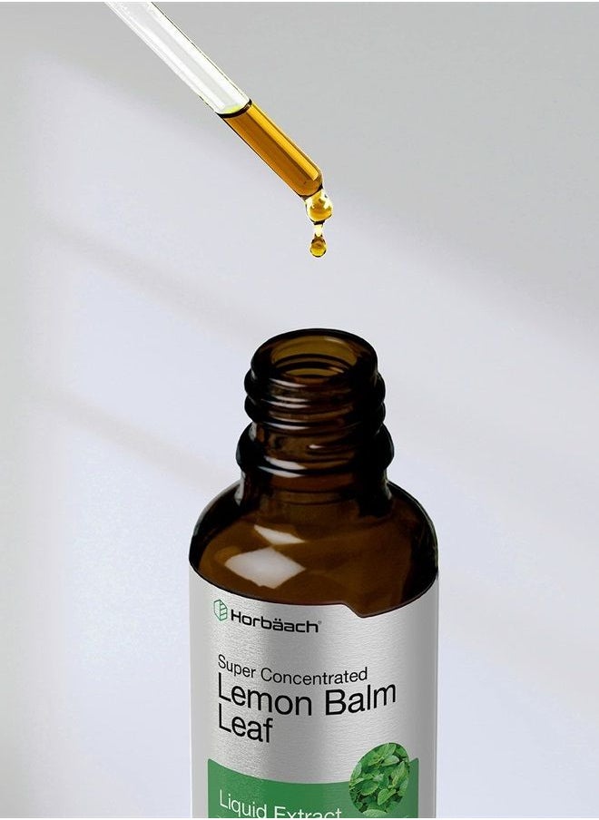 Horbäach Lemon Balm Leaf Liquid Extract | 2 fl oz Tincture | Melissa Officinalis | Vegetarian, Non-GMO, Gluten Free | by Horbaach  - Image 3