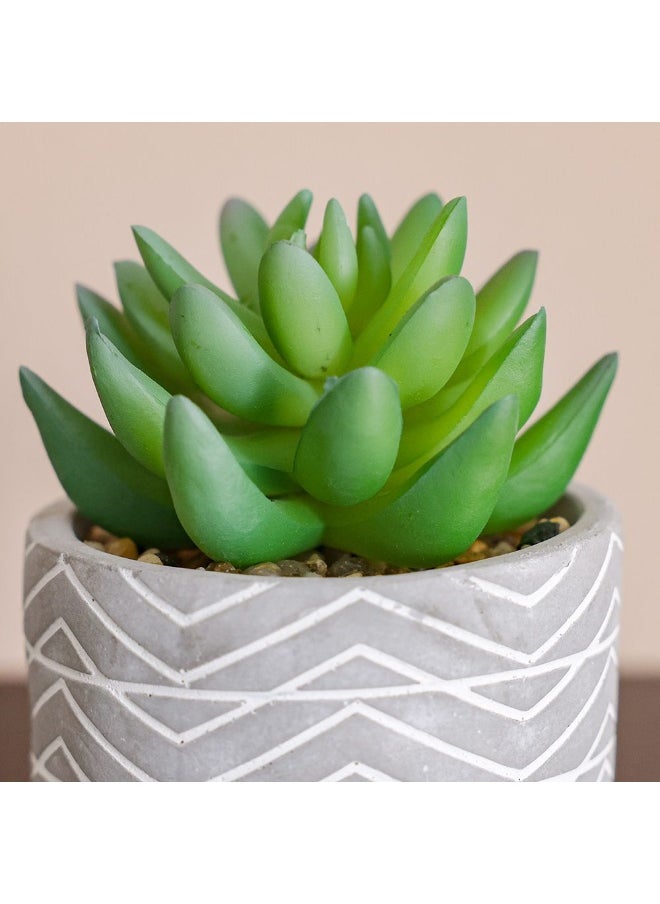 DANUBE HOME Danube Home Treo Moonglow Succulent With Pot - 9X9X7.8 Cm Elegant Home Decor Collection White Chic Concrete Flower Vase For Fresh Flowers Decoration Decorative Home Accessories  - Image 2