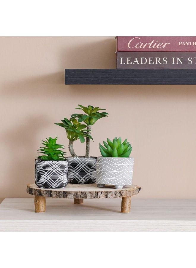 DANUBE HOME Danube Home Treo Moonglow Succulent With Pot - 9X9X7.8 Cm Elegant Home Decor Collection White Chic Concrete Flower Vase For Fresh Flowers Decoration Decorative Home Accessories  - Image 4