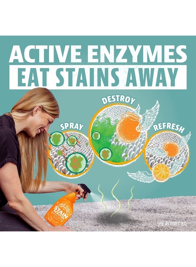 Angry Orange Pet Stain Remover Enzyme Cleaner - Orange Twist Scent, 32 fl oz (946mL) - Image 4