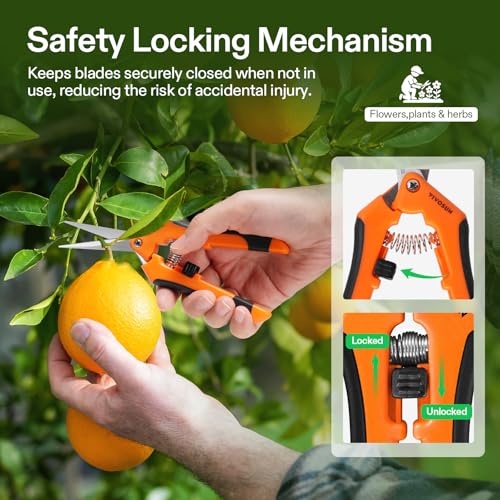 VIVOSUN 6.5 Inch Gardening Scissors Hand Pruner Pruning Shear with Straight Stainless Steel Blades Orange 1-Pack - Image 5
