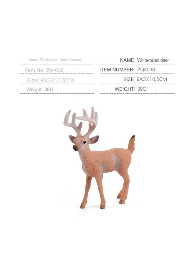 NIBEMINENT Forest Wild Animal Models - Creative Children's Cognition Decor of Sika Deer and Reindeer