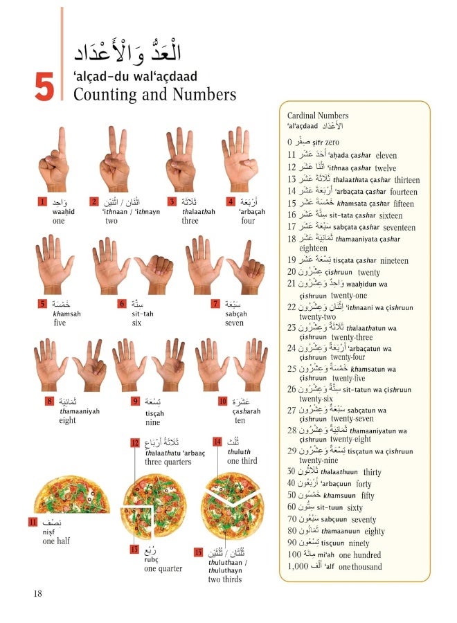 قاموس الصور العربي: تعلم 1,500 كلمة وعبارة عربية (يشمل صوتًا عبر الإنترنت) - Image 5