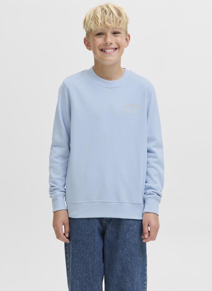 Jack & Jones Junior Kids Jjebrandes Backup Relaxed Sweatshirt - Image 1