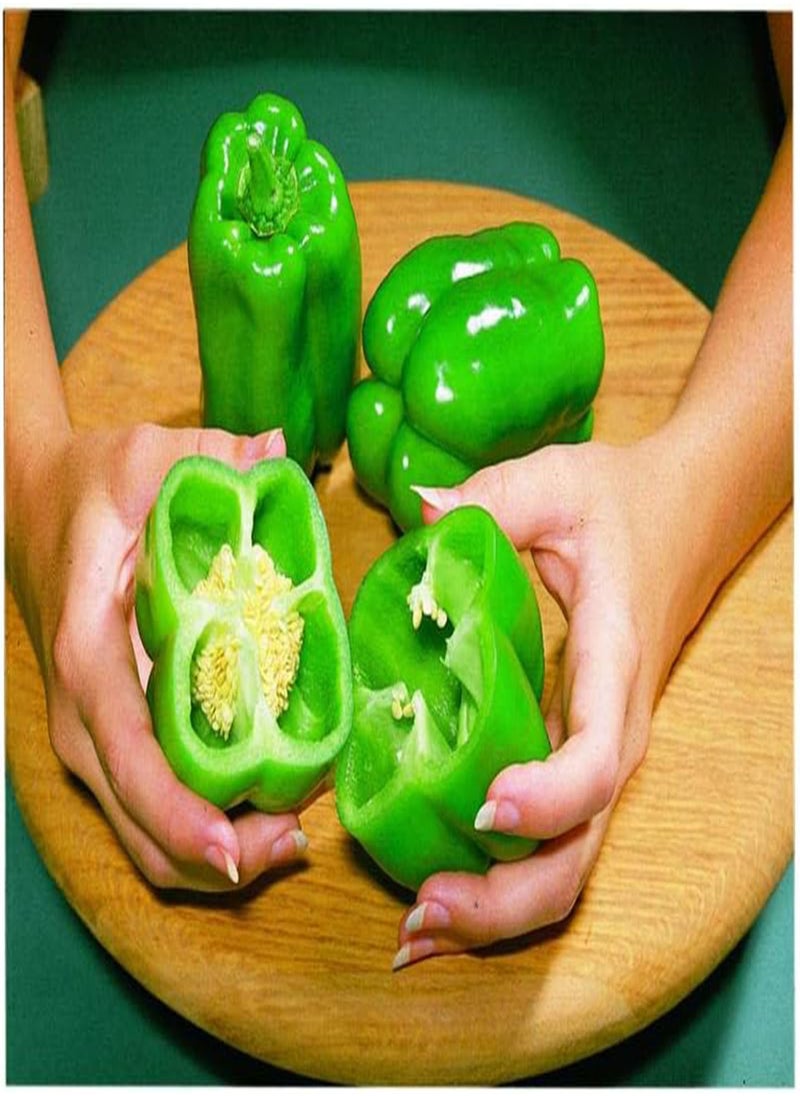 GGOOT Sweet Pepper Vegatable Plant Seeds, Easy to Grow, Spring Garden, Big Bertha Hybrid, Pack of 15  - Image 1