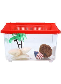 Needzo Hermit Crab Show and Tell Starter Pack, Kit with Terrarium, Palm Tree Water Dish, Painted Shells, and Sponge, 6.25 L x 3.5 W x 3.25 H