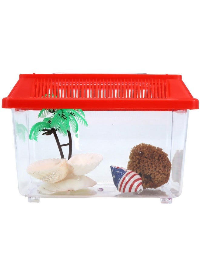 Needzo - Needzo Hermit Crab Show and Tell Starter Pack, Kit with Terrarium, Palm Tree Water Dish, Painted Shells, and Sponge, 6.25 L x 3.5 W x 3.25 H - Image 1