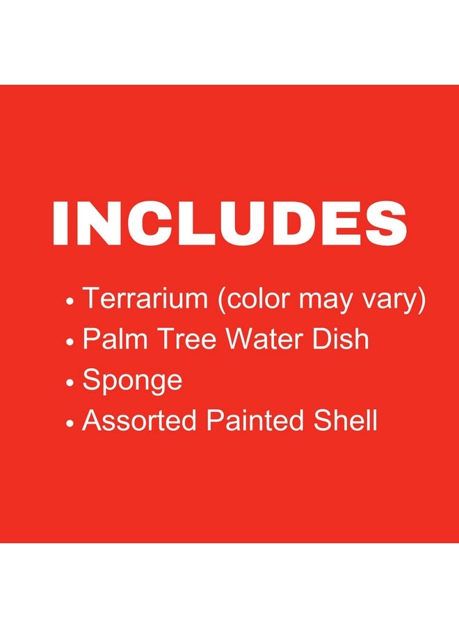 Needzo - Needzo Hermit Crab Show and Tell Starter Pack, Kit with Terrarium, Palm Tree Water Dish, Painted Shells, and Sponge, 6.25 L x 3.5 W x 3.25 H - Image 1